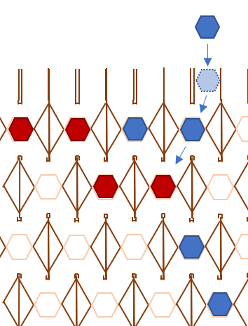 A game board with red and blue hexagons. The movement of the hexagons is indicated with arrows. After the movement is completed, four blue hexagons will be in a diagonal row.