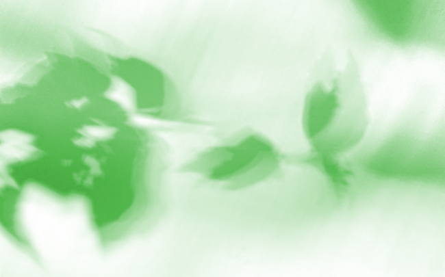 Shadows of tree leaves with double images, colored green.